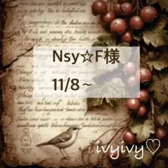 Nsy☆F 様11/8⭕️おまとめ専用