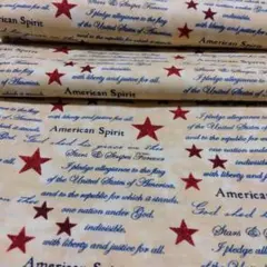 USAコットン アメリカン・スピリット生地