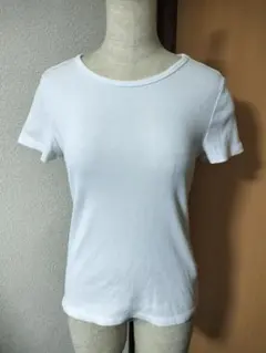 人気　エイチアンドエム　Tシャツ リブ素材のサムネイル