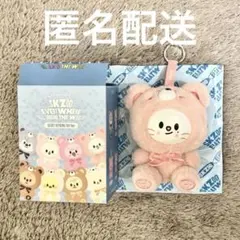 2026年最新】SKZoo ジニレット ぬいぐるみの人気アイテム - メルカリ