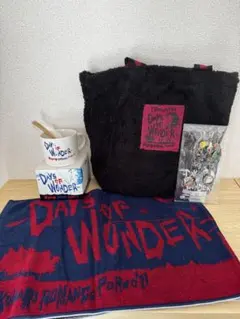 ポルノグラフィティDays of Wonder ライブグッズ ポルノグラフィティDays of Wonder ライブグッズ