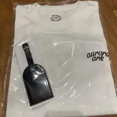 Item thumbnail for item 5e692cca-7f24-4309-9732-f28036f89a9a