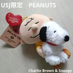 USJ限定　PEANUTS チャーリー・ブラウン スヌーピー