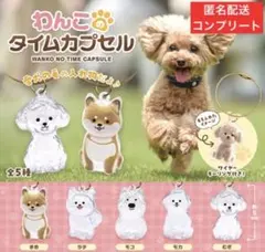 愛犬の毛の入れ物