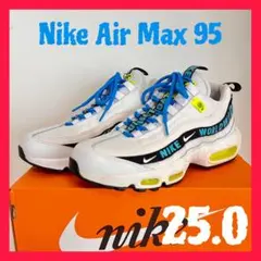 美品【NIKE】AIR MAX 95 WORLD WIDE エアマックス 25㎝