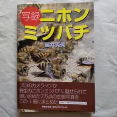 Item thumbnail for item 15409507-5b12-4485-aa3d-91eccbc273ad