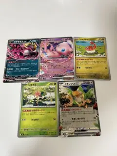 キチキギスex、ミュウex、イキリンコex、シャリタツ、シェイミ　各1枚　②