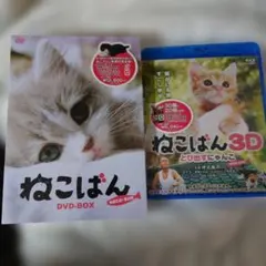 Item thumbnail for item 7d3a8573-aa91-4e49-a0e3-3b047b6aa0c7