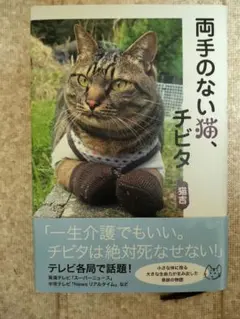 Item thumbnail for item 5254eb65-bffb-439b-8678-9ec0598b6475