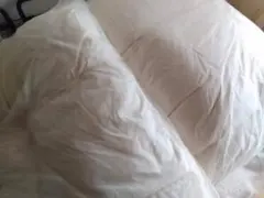 sonia 羽毛布団 セミダブル ２枚