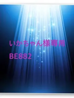 いかちゃん様専用