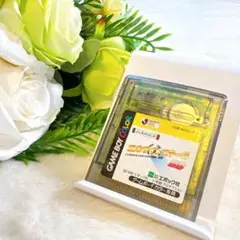 動作確認清掃済みGBC JリーグエキサイトステージGB任天堂Nintendo