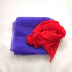 Item thumbnail for item 4a9802d5-7ab8-489c-bf7d-b23c338eaf36