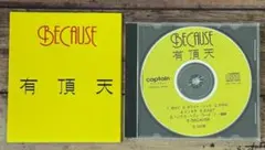 「BECAUSE ビコーズ」有頂天（ケラ）/ナゴム キャプテン盤