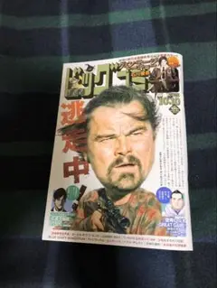 ビッグコミック