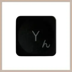 ロジクール 日本語 テンキー MX KEYS for ビジネス 「Y、ん」キー