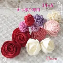 [すぅ様ご専用]＊大地農園・ソーラーローズ・ソーラーダリア 14-A