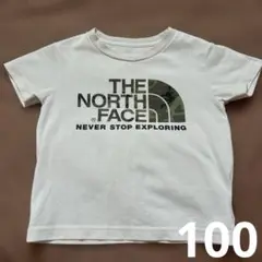 THE NORTH FACE カモフラージュロゴ Tシャツ