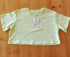 Item thumbnail for item c214c473-e4c2-45a0-9bba-fd0ca2a346df