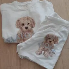 ジェラピケ ルームウェア