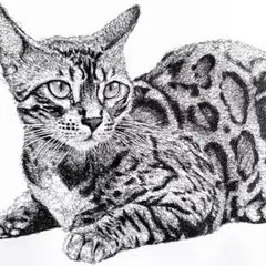 ボールペン画 ビーグル015【ドローイング 原画 絵画 イラスト 犬の絵