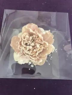 レディピオニー コサージュ   アプリコット