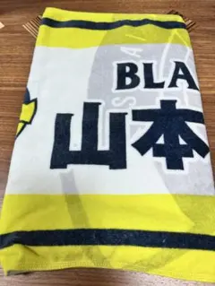 Item thumbnail for item 2f3ff745-acf2-44c9-97ca-489c49a7be6f