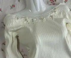 お値下げ依頼 即発送 90%オフ アプワイザーリッシェ シアーデコルテ 刺繍 白