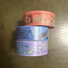 はな様専用 ディズニーリゾート　マスキングテープ　2種類