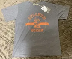 Anna Kerry 半袖Tシャツ グレー 38サイズ 新品のサムネイル