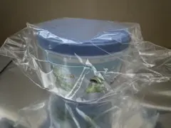 レトロト　フードコンテナ 青　雨の日