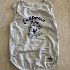 Item thumbnail for item 00bcc441-595f-49eb-88a6-30b05fea9044