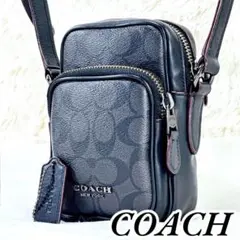 【美品】コーチ ショルダーバッグ レザー PVC グレー シグネチャー 1082