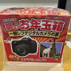 2026年最新】一眼レフデジカメの夢の人気アイテム - メルカリ