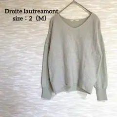Droite lautreamont 長袖Vネックニット【M】薄手 0850