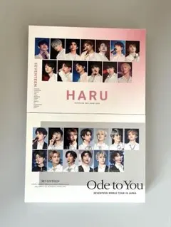 SEVENTEEN Ode to You ライブDVD - メルカリ