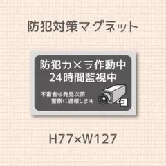 のん♡プロフ必読専用　防犯カメラ作動中　24時間監視中　マグネット