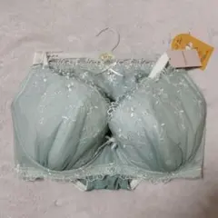 チュチュアンナ H70 永遠のブラ 大きな胸を小さく見せる 脇高 ブラ＆ショーツ