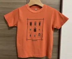 美品⭐︎mont-bell/mont-bell 子ども用Tシャツ 120cm昆虫