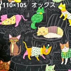 猫 生地