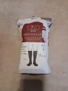 Item thumbnail for item 63b0e2f1-7198-4a6f-8ca7-92ff2b301562