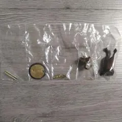 アニマルジャズ　ビックホーン