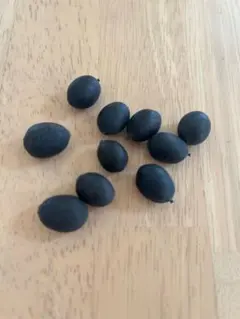 2026年最新】大賀ハスの種の人気アイテム - メルカリ