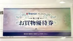 YAMADA ヤマダホールディングス 株主優待券
