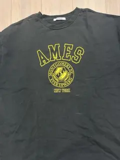 NUNIFE AMES カレッジロゴ Tシャツ ブラック チャコール NY