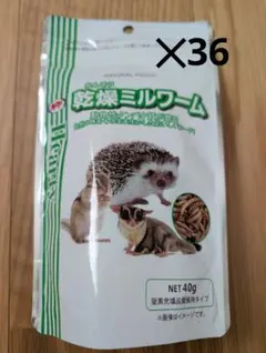 Item thumbnail for item e9bf6e55-d093-4b11-b465-771f0de2d3ee