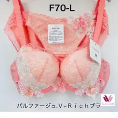 2026年最新】ワコールパルファージュVリッチブラの人気アイテム - メルカリ