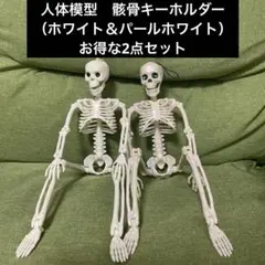 Item thumbnail for item 8aee0796-9d41-4f18-8ac8-b2c16daeab96