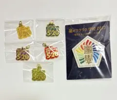 嵐　5×20 会場限定チャーム 5個セット ワクワク学校 ワッペンバッジ
