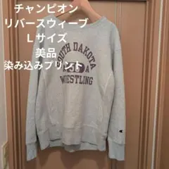 やぎさん専用 美品 染込 3段プリント Champion 単色タグ 2025年最新】Yahoo!オークション -3段プリントの中古品・新品